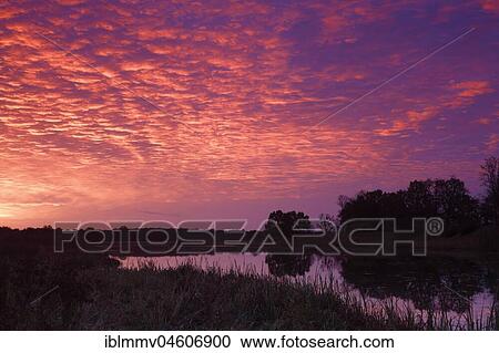 Sunrise with Altocumulus clouds over the Löbben Lake, Biosphere Reserve Middle Elbe, Saxony-Anhalt, Germany, Europe View Large Photo Image Stock Image - Sunrise with Altocumulus clouds over the Löbben Lake, Biosphere Reserve Middle Elbe, Saxony-Anhalt, Germany, Europe. Fotosearch