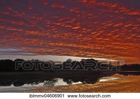 Sunrise with Altocumulus clouds over the Löbben Lake, Biosphere Reserve Middle Elbe, Saxony-Anhalt, Germany, Europe View Large Photo Image Stock Image - Sunrise with Altocumulus clouds over the Löbben Lake, Biosphere Reserve Middle Elbe, Saxony-Anhalt, Germany, Europe. Fotosearch
