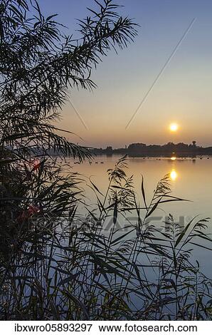Sunset at the Dümmer, Inland Sea, Lembruch, Lower Saxony, Germany, Europe View Large Photo Image Stock Photo - Sunset at the Dümmer, Inland Sea, Lembruch, Lower Saxony, Germany, Europe. Fotosearch