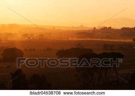 Sunset over wine region, near Stellenbosch, Western Cape Province, South Africa, Africa View Large Photo Image Stock Photo - Sunset over wine region, near Stellenbosch, Western Cape Province, South Africa, Africa. Fotosearch