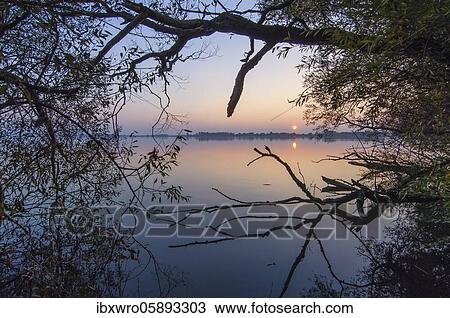 Sunset Sunset on the Dümmer, Inland Sea, Lembruch, Lower Saxony, Germany, Europe View Large Photo Image Stock Image - Sunset Sunset on the Dümmer, Inland Sea, Lembruch, Lower Saxony, Germany, Europe. Fotosearch