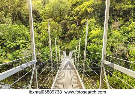 Stock Image - Suspension Bridge over the Wainui River, Oceania, Wainui Falls Track, Golden Bay, Tasman, South Island, New Zealand, Oceania. Fotosearch