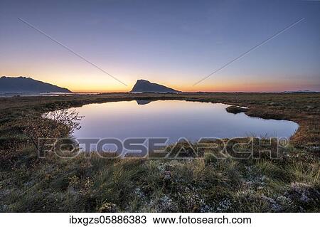 Swampland, dusk is reflected in a small round lake, in the back mountain silhouette on the horizon, Gimsøy, Lofoten, Nordland, Norway, Europe View Large Photo Image Stock Image - Swampland, dusk is reflected in a small round lake, in the back mountain silhouette on the horizon, Gimsøy, Lofoten, Nordland, Norway, Europe. Fotosearch