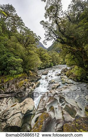 Stock Image - The Chasm, washed-out rocks, Milford Highway, Fiordland National Park, Southland, New Zealand, Oceania. Fotosearch