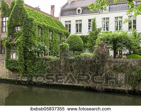 The house overgrown with vines behind the Church of Our Dear Lady, Bruges, Flanders, Belgium, Europe View Large Photo Image Stock Photography - The house overgrown with vines behind the Church of Our Dear Lady, Bruges, Flanders, Belgium, Europe. Fotosearch