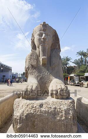 Stock Image - The Memphis sphinx, 1550-1069 BC circa, egyptian alabaster, Mit Rahina museum, Memphis, Egypt, Africa. Fotosearch
