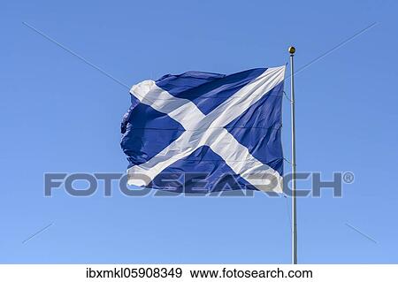 The Saltire, Scottish flag, flying against a blue sky, Oban, Scotland, United Kingdom, Europe View Large Photo Image Stock Photo - The Saltire, Scottish flag, flying against a blue sky, Oban, Scotland, United Kingdom, Europe. Fotosearch