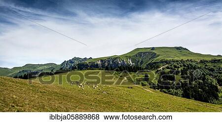 The Sancy massif at back, Auvergne Volcanoes Natural Park, Puy de Dome department, Auvergne-Rhone-Alpes, France, Europe View Large Photo Image Stock Photo - The Sancy massif at back, Auvergne Volcanoes Natural Park, Puy de Dome department, Auvergne-Rhone-Alpes, France, Europe. Fotosearch