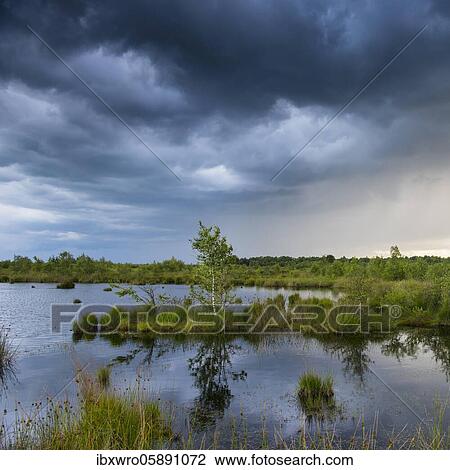 Thunderclouds moving over the Goldenstedter Moor, Weather, threatening, Oldenburger Münsterland, Lower Saxony, Germany, Europe View Large Photo Image Stock Image - Thunderclouds moving over the Goldenstedter Moor, Weather, threatening, Oldenburger Münsterland, Lower Saxony, Germany, Europe. Fotosearch