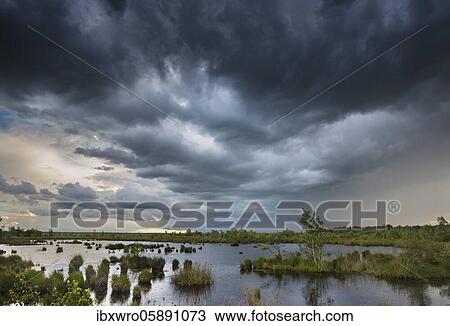 Thunderclouds moving over the Goldenstedter Moor, Weather, threatening, Oldenburger Münsterland, Lower Saxony, Germany, Europe View Large Photo Image Stock Image - Thunderclouds moving over the Goldenstedter Moor, Weather, threatening, Oldenburger Münsterland, Lower Saxony, Germany, Europe. Fotosearch