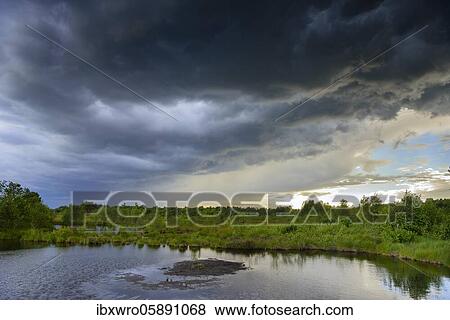 Thunderclouds moving over the Goldenstedter Moor, Weather, threatening, Oldenburger Münsterland, Lower Saxony, Germany, Europe View Large Photo Image Stock Photo - Thunderclouds moving over the Goldenstedter Moor, Weather, threatening, Oldenburger Münsterland, Lower Saxony, Germany, Europe. Fotosearch