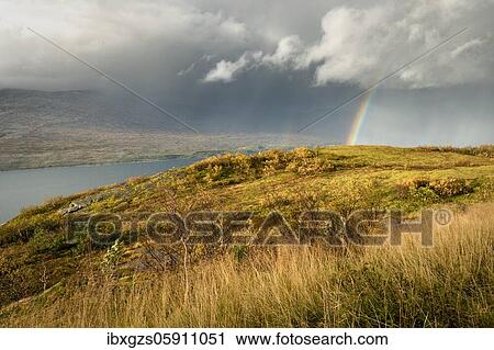 Stock Image - Thunderstorm with double rainbow and dramatic clouds with yellow grass on hills in autumn, Nesna, Nordland, Norway, Europe. Fotosearch
