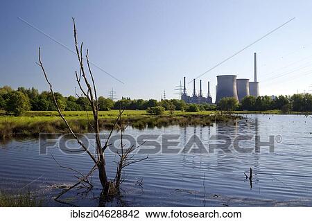 Tibaum nature reserve in Hamm in front of the power plant Gersteinwerk in Werne, Ruhr area, North Rhine-Westphalia, Germany, Europe View Large Photo Image Stock Image - Tibaum nature reserve in Hamm in front of the power plant Gersteinwerk in Werne, Ruhr area, North Rhine-Westphalia, Germany, Europe. Fotosearch