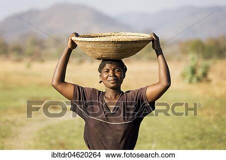 Tonga woman carries a basket with millet to her village at the Lake Kariba, Zambia, Africa View Large Photo Image Picture - Tonga woman carries a basket with millet to her village at the Lake Kariba, Zambia, Africa. Fotosearch