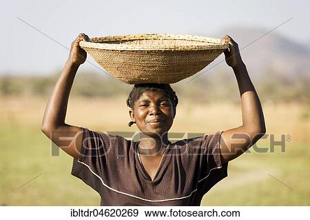 Tonga woman carries a basket with millet to her village at the Lake Kariba, Zambia, Africa View Large Photo Image Stock Photo - Tonga woman carries a basket with millet to her village at the Lake Kariba, Zambia, Africa. Fotosearch