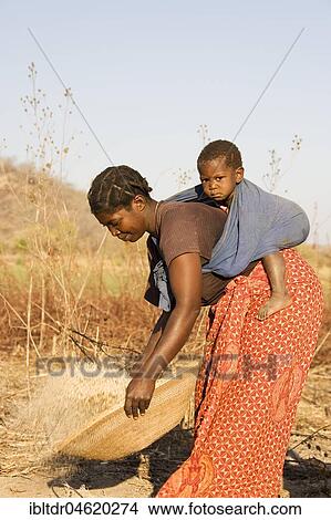 Tonga woman with child on her back sifting grains, Lake Kariba, Zambia, Africa View Large Photo Image Picture - Tonga woman with child on her back sifting grains, Lake Kariba, Zambia, Africa. Fotosearch