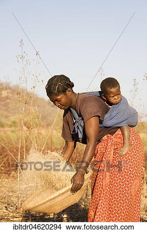 Picture - Tonga woman with child on her back sifting grains, Lake Kariba, Zambia, Africa. Fotosearch