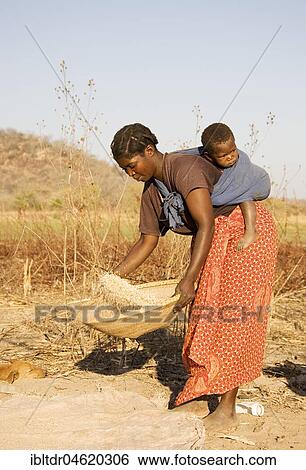 Stock Photograph - Tonga woman with child on her back sifting grains, Lake Kariba, Zambia, Africa. Fotosearch