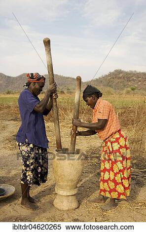Tonga women pounding grain, Lake Kariba, Zambia, Africa View Large Photo Image Stock Photography - Tonga women pounding grain, Lake Kariba, Zambia, Africa. Fotosearch