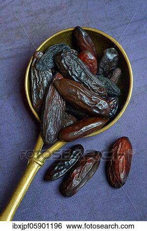Tonka beans (Dipteryx odorata) in Kelle, Germany, Europe View Large Photo Image Stock Photograph - Tonka beans (Dipteryx odorata) in Kelle, Germany, Europe. Fotosearch