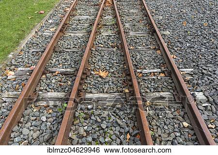 Tracks of a narrow-gauge railway with old wooden planks, Deutsches Dampflokmuseum Museum, Neuenmarkt, Upper Franconia, Bavaria, Germany, Europe View Large Photo Image Stock Photograph - Tracks of a narrow-gauge railway with old wooden planks, Deutsches Dampflokmuseum Museum, Neuenmarkt, Upper Franconia, Bavaria, Germany, Europe. Fotosearch