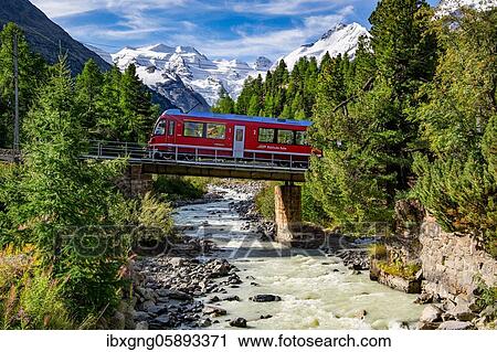 Train of the Bernina line in the Morteratsch valley with Bellavista and Piz Bernina, Pontresina, Bernina Alps, Upper Engadine, Engadine, Grisons, Switzerland, Europe View Large Photo Image Stock Image - Train of the Bernina line in the Morteratsch valley with Bellavista and Piz Bernina, Pontresina, Bernina Alps, Upper Engadine, Engadine, Grisons, Switzerland, Europe. Fotosearch
