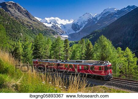 Train of the Bernina line over the Morteratsch valley with Bellavista, Piz Bernina and Morteratsch glacier, Pontresina, Bernina Alps, Upper Engadine, Engadine, Grisons, Switzerland, Europe View Large Photo Image Stock Photo - Train of the Bernina line over the Morteratsch valley with Bellavista, Piz Bernina and Morteratsch glacier, Pontresina, Bernina Alps, Upper Engadine, Engadine, Grisons, Switzerland, Europe. Fotosearch