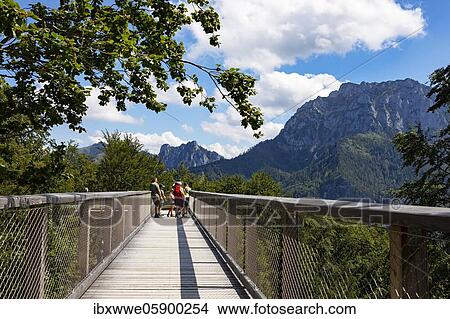 Tree top path Salzkammergut at Grünberg with view to the Traunstein, Gmunden, Salzkammergut, Upper Austria, Austria, Europe View Large Photo Image Picture - Tree top path Salzkammergut at Grünberg with view to the Traunstein, Gmunden, Salzkammergut, Upper Austria, Austria, Europe. Fotosearch