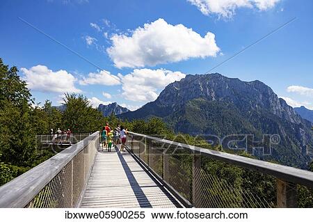 Stock Photography - Tree top path Salzkammergut at Grünberg with view to the Traunstein, Gmunden, Salzkammergut, Upper Austria, Austria, Europe. Fotosearch