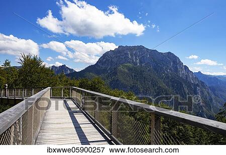 Stock Photo - Tree top walk Salzkammergut am Grünberg with Traunstein, Gmunden, Salzkammergut, Upper Austria, Austria, Europe. Fotosearch