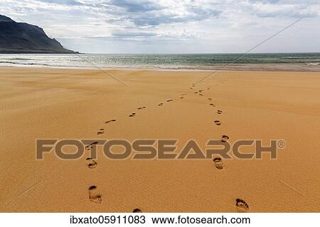 Two footprints in the sand, crossing each other, beach Rauðisandur, Raudisandur, near Patreksfjördur, Vestfirðir, Westfjords, Iceland, Europe View Large Photo Image Stock Image - Two footprints in the sand, crossing each other, beach Rauðisandur, Raudisandur, near Patreksfjördur, Vestfirðir, Westfjords, Iceland, Europe. Fotosearch