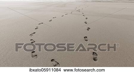 Picture - Two footprints in the sand, on the beach, paths crossing, symbolic picture, Vestfirðir, Westfjords, Iceland, Europe. Fotosearch