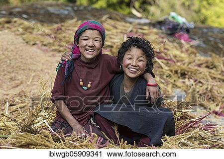 Two happily laughing children sitting in a pile of pearl millet, Manaslu region, Himalaya, Nepal, Asia View Large Photo Image Stock Image - Two happily laughing children sitting in a pile of pearl millet, Manaslu region, Himalaya, Nepal, Asia. Fotosearch