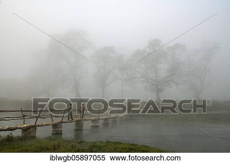 Two men walk in the morning fog over a bridge over the Rapti River, Sauraha, Chitwan National Park, Nepal, Asia View Large Photo Image Stock Photography - Two men walk in the morning fog over a bridge over the Rapti River, Sauraha, Chitwan National Park, Nepal, Asia. Fotosearch