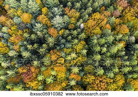 UAV recording, Baden-Württemberg, mixed forest, autumn in the Rems valley, Germany, Europe View Large Photo Image Stock Image - UAV recording, Baden-Württemberg, mixed forest, autumn in the Rems valley, Germany, Europe. Fotosearch