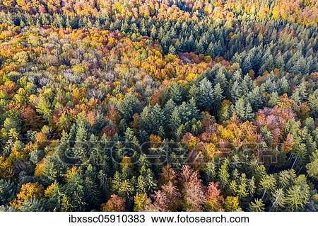 UAV recording, Baden-Württemberg, mixed forest, autumn in the Rems valley, Germany, Europe View Large Photo Image Stock Image - UAV recording, Baden-Württemberg, mixed forest, autumn in the Rems valley, Germany, Europe. Fotosearch