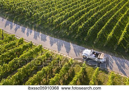 Stock Photo - UAV recording, businessman in a vintage car, driving through vineyard, Remstal, Baden-Württemberg, Germany, Europe. Fotosearch