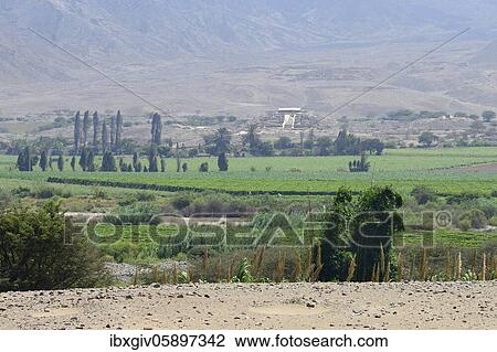 Valley of the Rio Supe, in the back ruins of Allpacoto, near Caral, Peru, South America View Large Photo Image Stock Image - Valley of the Rio Supe, in the back ruins of Allpacoto, near Caral, Peru, South America. Fotosearch
