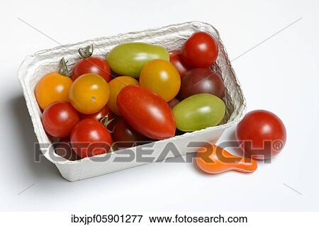 Various cherry tomatoes in packaging, Germany, Europe View Large Photo Image Stock Photo - Various cherry tomatoes in packaging, Germany, Europe. Fotosearch