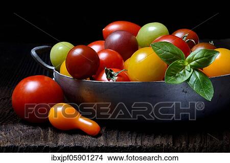 Various cherry tomatoes in shell, Germany, Europe View Large Photo Image Picture - Various cherry tomatoes in shell, Germany, Europe. Fotosearch