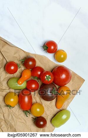 Various cherryTomatoes (Solanum lycopersicum) Germany View Large Photo Image Stock Photo - Various cherryTomatoes (Solanum lycopersicum) Germany. Fotosearch