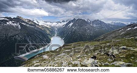 View from the Berliner Höhenweg to the Schlegeis reservoir, Schlegeis reservoir, Zillertal Alps, Schlegeiskees glacier, Zillertal, Tyrol, Austria, Europe View Large Photo Image Stock Photo - View from the Berliner Höhenweg to the Schlegeis reservoir, Schlegeis reservoir, Zillertal Alps, Schlegeiskees glacier, Zillertal, Tyrol, Austria, Europe. Fotosearch