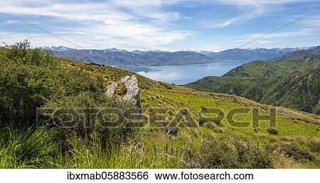 Stock Photograph - View from the Grandview Mountain Track to the lake, Lake Hāwea, Southern Alps, Otago, South Island, New Zealand, Oceania. Fotosearch