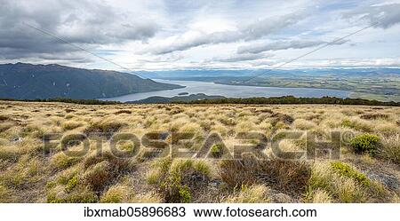 View of Lake Te Anau and Southfiord, Kepler Track, Fiordland National Park, Southland, South Island, New Zealand, Oceania View Large Photo Image Stock Image - View of Lake Te Anau and Southfiord, Kepler Track, Fiordland National Park, Southland, South Island, New Zealand, Oceania. Fotosearch