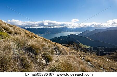 View of Lake Wakatipu, Ben Lomond hiking trail, Southern Alps, Otago, South Island, New Zealand, Oceania View Large Photo Image Stock Photo - View of Lake Wakatipu, Ben Lomond hiking trail, Southern Alps, Otago, South Island, New Zealand, Oceania. Fotosearch