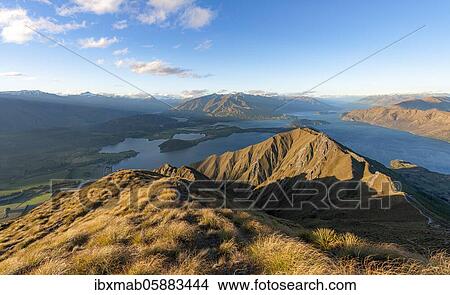 View of mountains and lake from Mount Roy, Roys Peak in the evening light, Lake Wanaka, Southern Alps, Otago, South Island, New Zealand, Oceania View Large Photo Image Picture - View of mountains and lake from Mount Roy, Roys Peak in the evening light, Lake Wanaka, Southern Alps, Otago, South Island, New Zealand, Oceania. Fotosearch