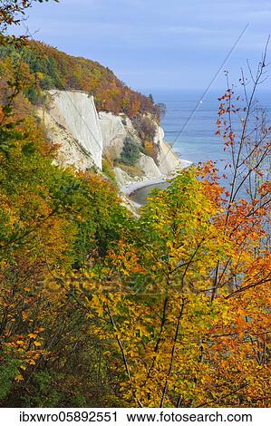 View of the chalk cliffs in the Jasmund National Park on Rügen, Autumn, Baltic Sea, Saßnitz, Mecklenburg-Western Pomerania, Germany, Europe View Large Photo Image Stock Image - View of the chalk cliffs in the Jasmund National Park on Rügen, Autumn, Baltic Sea, Saßnitz, Mecklenburg-Western Pomerania, Germany, Europe. Fotosearch