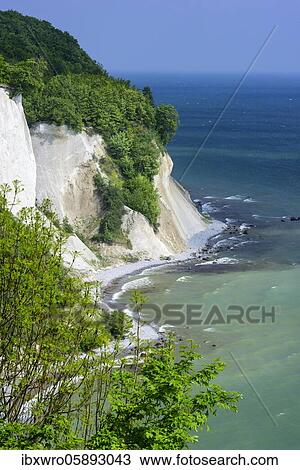 Stock Image - View of the chalk cliffs in the Jasmund National Park on Rügen, Baltic Sea, Saßnitz, Mecklenburg-Western Pomerania, Germany, Europe. Fotosearch