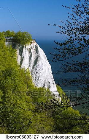 View of the Königsstuhl in the chalk cliffs, Baltic Sea, Saßnitz, Rügen, Jasmund National Park, Mecklenburg-Vorpommern, Germany, Europe View Large Photo Image Stock Photo - View of the Königsstuhl in the chalk cliffs, Baltic Sea, Saßnitz, Rügen, Jasmund National Park, Mecklenburg-Vorpommern, Germany, Europe. Fotosearch