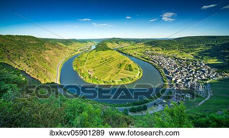 Stock Photo - View of the Moselle loop, Bremm, Moselle valley, Rhineland-Palatinate, Germany, Europe. Fotosearch
